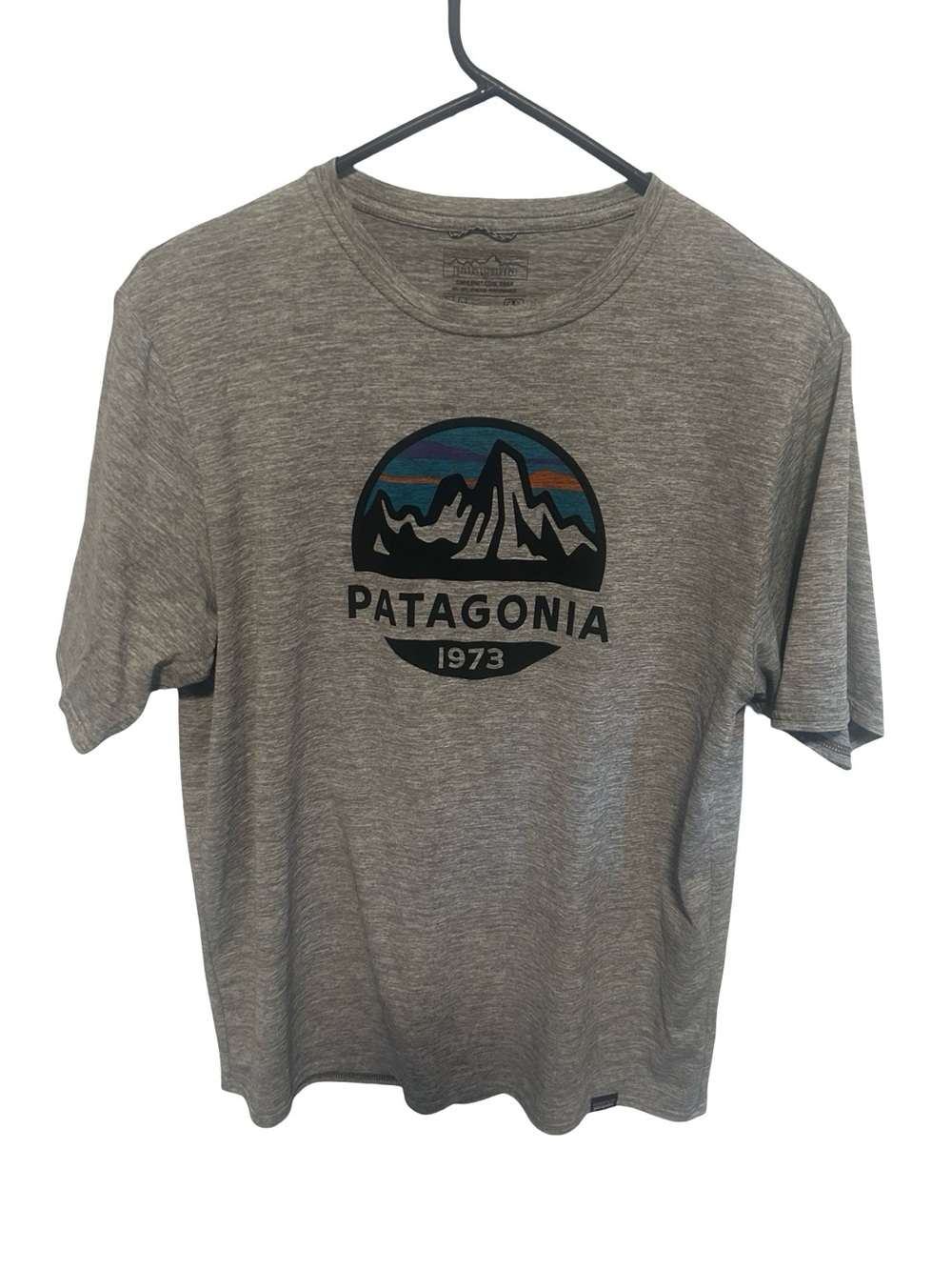 Patagonia Grey Tee with Multicolor Mountain Logo Medium see dimensions